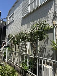 image7.jpeg
