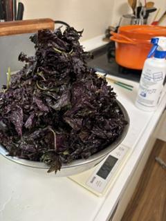 image15.jpeg